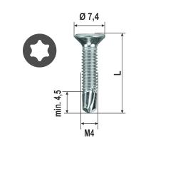Self drilling screw Metric TX drive