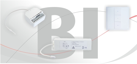 External receivers - Radio Code BI