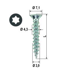 Vite ferramenta impronta TX 4.3x30 mm ( 2000 pz ) 
